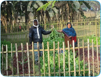 Garden2