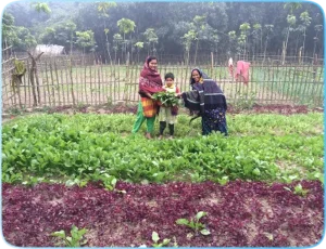 Home-Garden-5