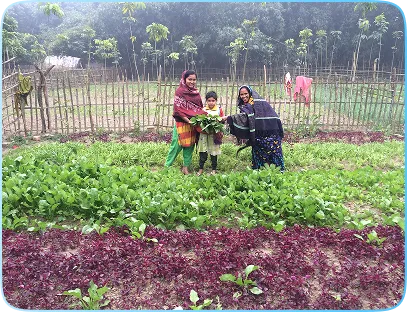 Home-Garden-5