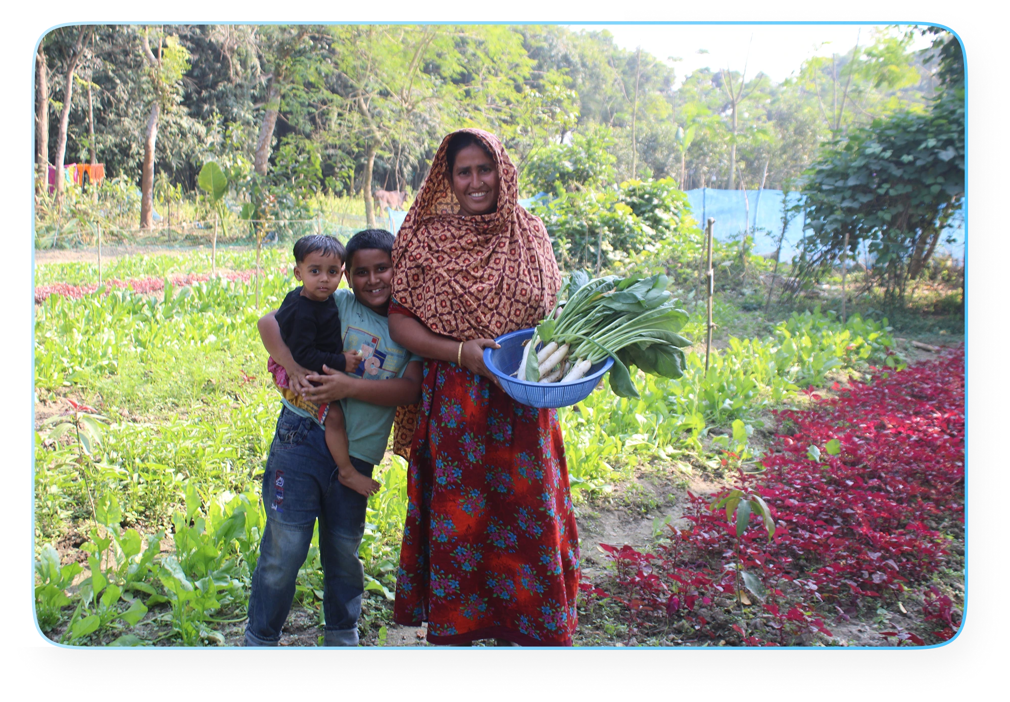 Home Garden